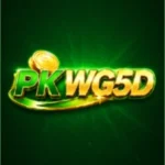 PKWG5D Game